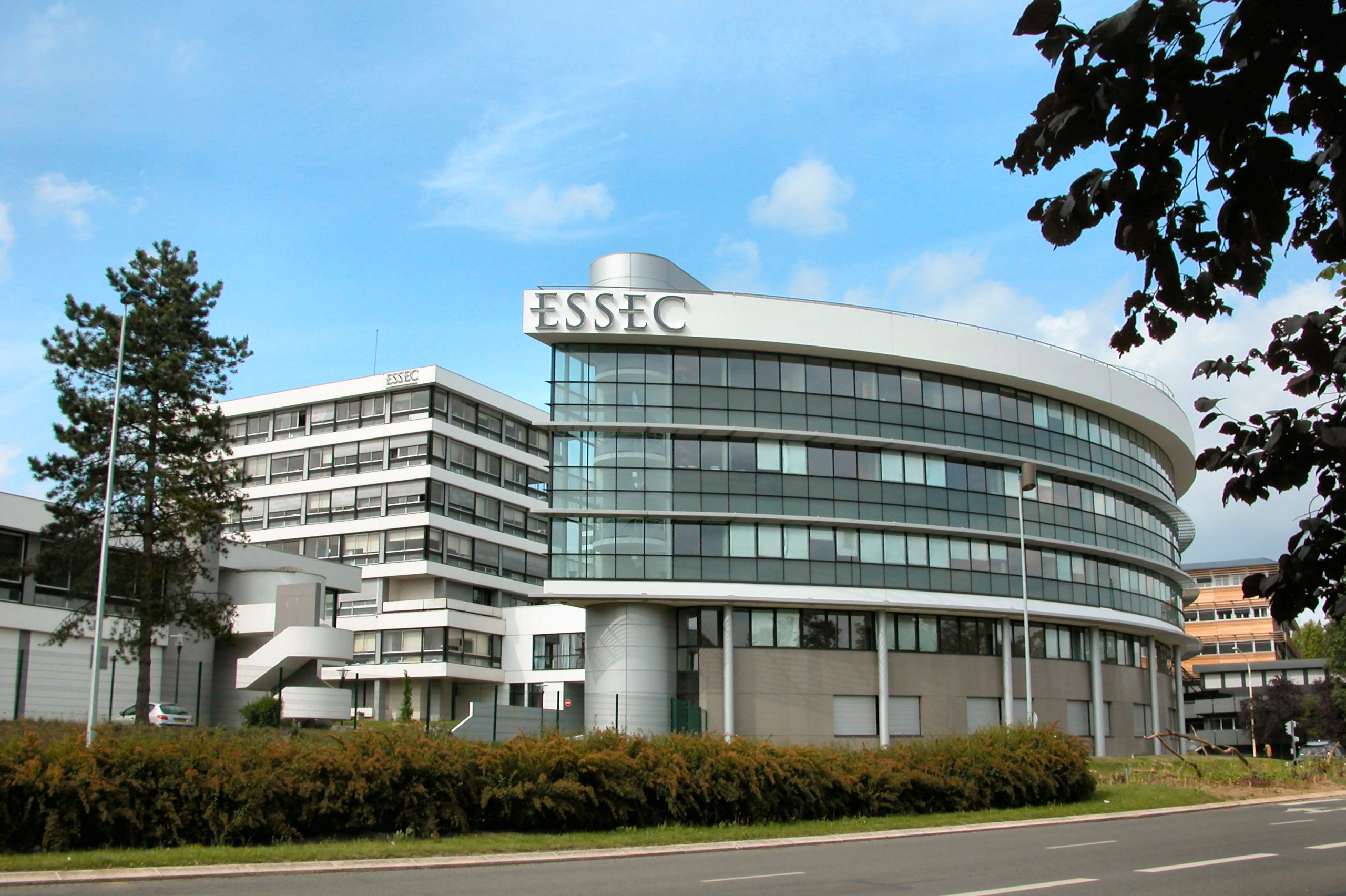 תואר שני ESSEC