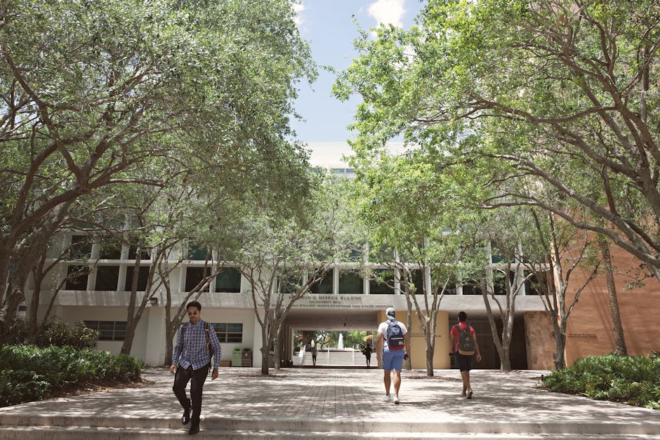 איזה ציון IELTS כדאי לשאוף אליו עבור אוקספורד, MIT או LSE? (נתוני 2026)