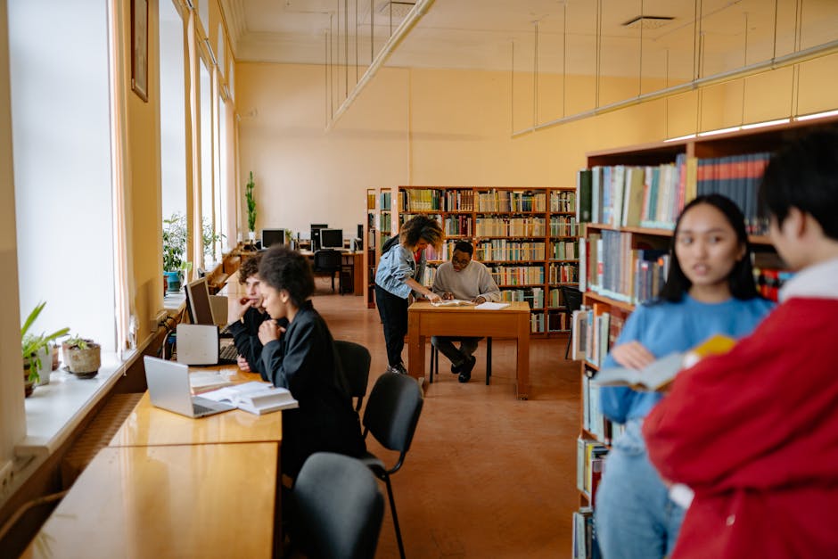 מה לעשות לאחר שליחת קובץ UCAS?